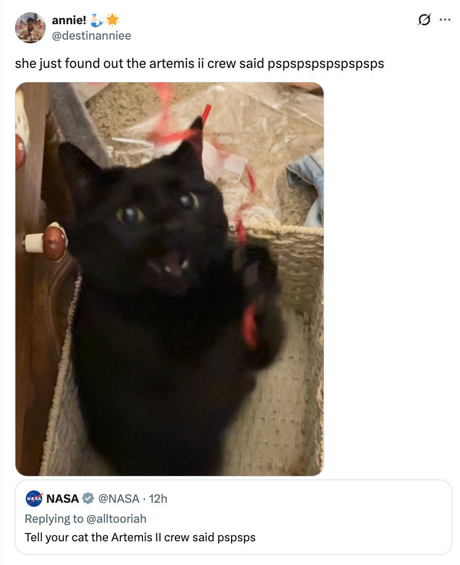 A achromatic feline successful a handbasket looks surprised. Tweet from NASA humorously suggests telling the feline the Artemis II unit said "pspsps."