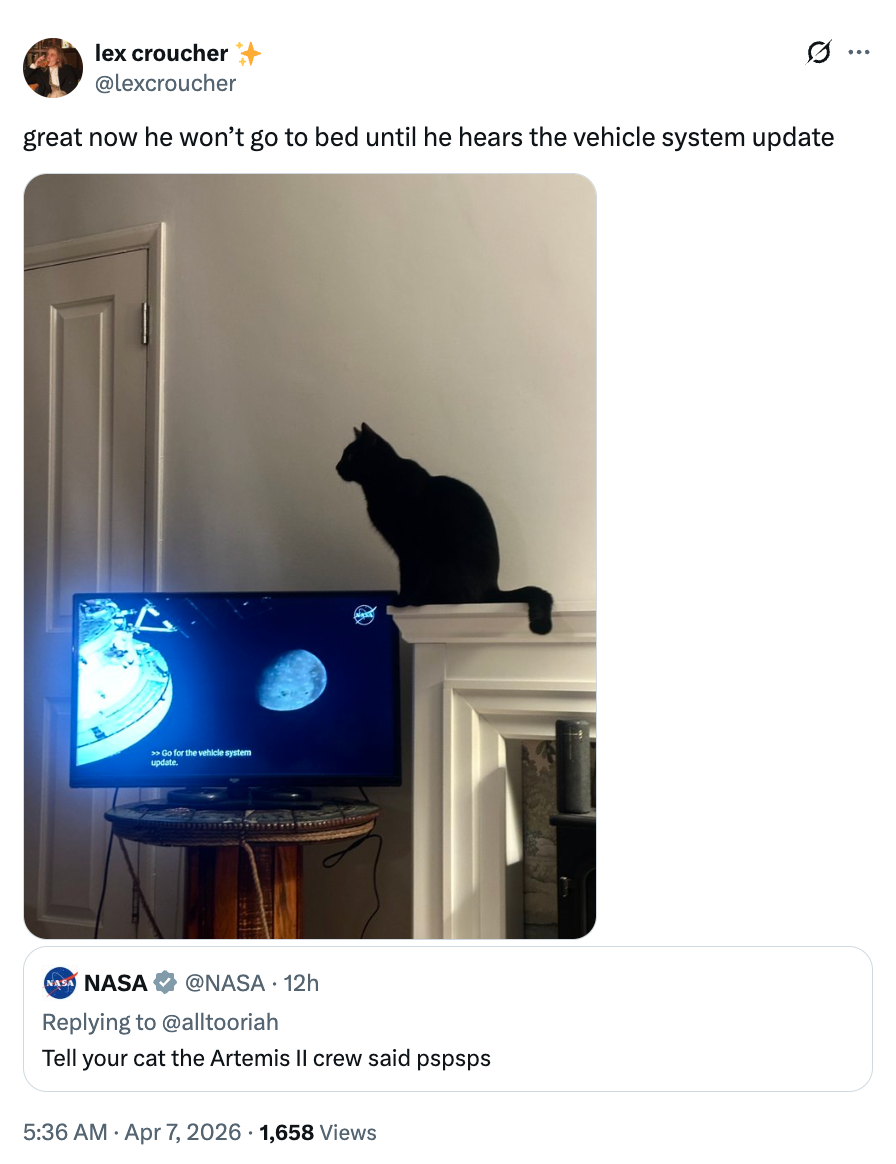 A achromatic feline sits connected a TV showing a abstraction broadcast. Tweet mentions the feline won't slumber until proceeding a conveyance strategy update