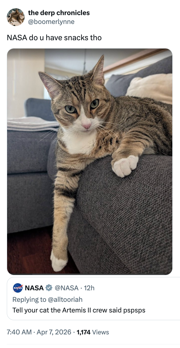 "NASA bash u person snacks tho." NASA's reply below: "Tell your feline the Artemis II unit said pspsps."