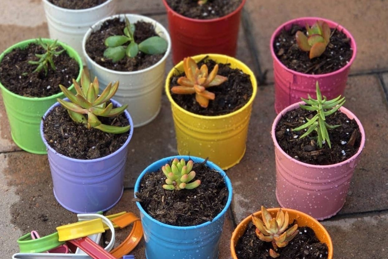 39 Products For Anyone Who Wants To ~Dig In~ To Gardening