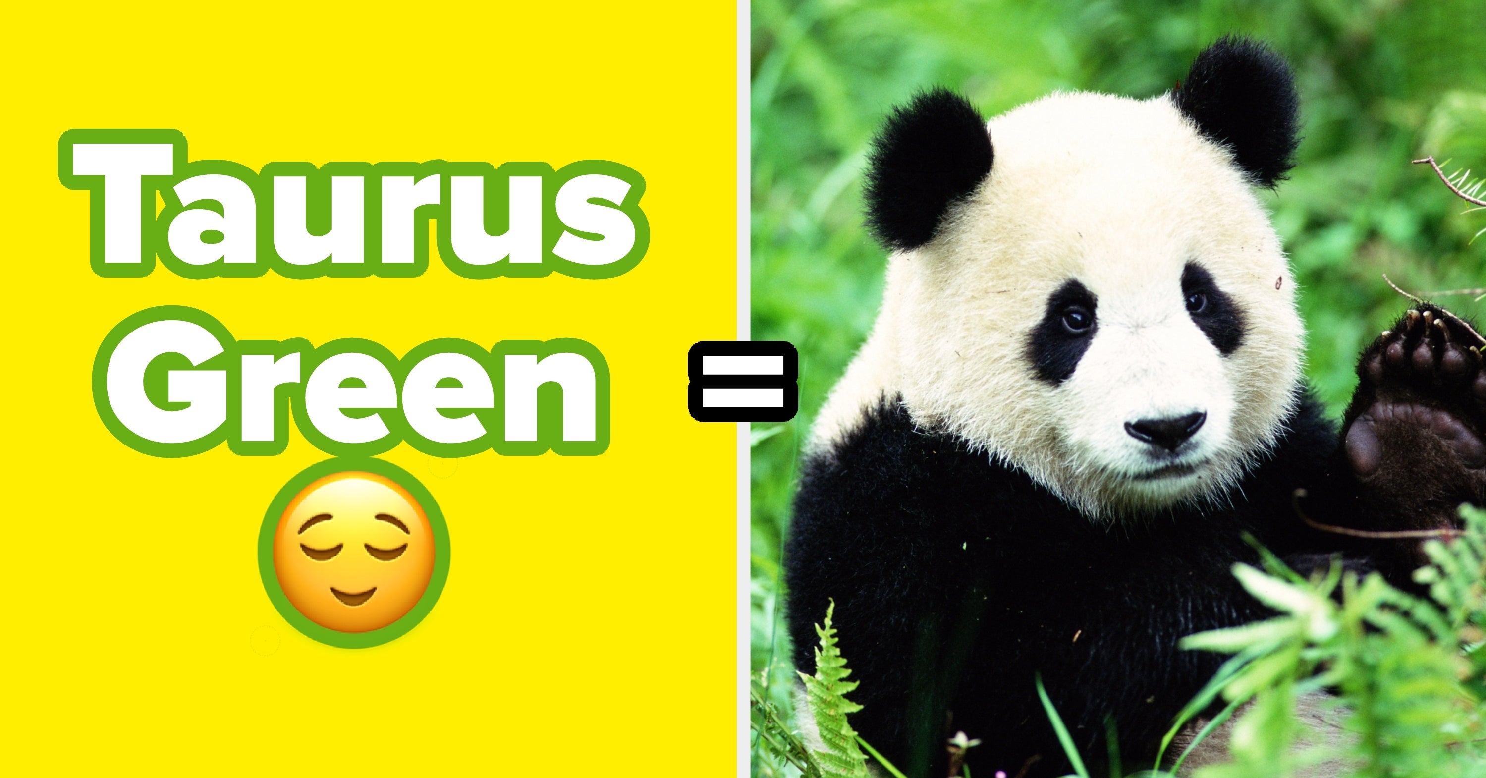 Comment your zodiac sign, favorite color, and last used emoji and let's see what animal people think best represents you ?