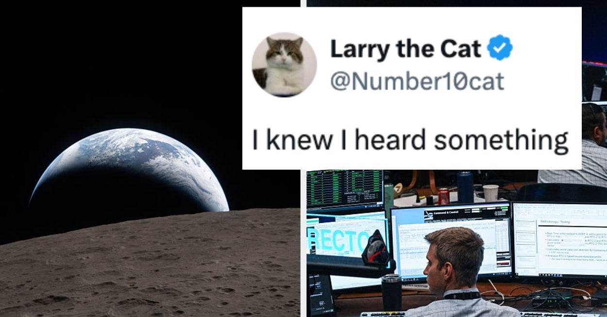 NASA Replied To A Cat And Now It's Spiraling Out Of Control