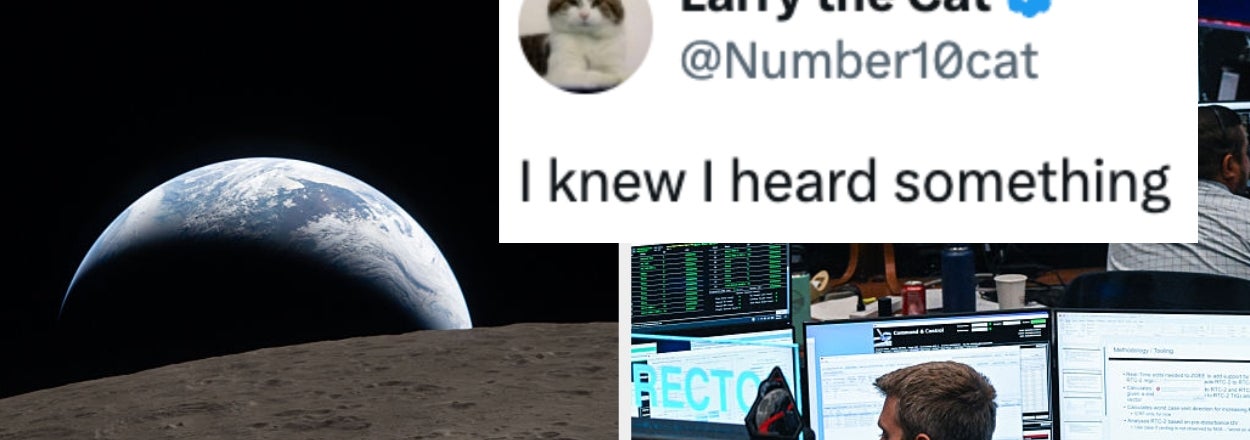 NASA Just Responded To A Cat On Social Media, And It's Going Super Viral