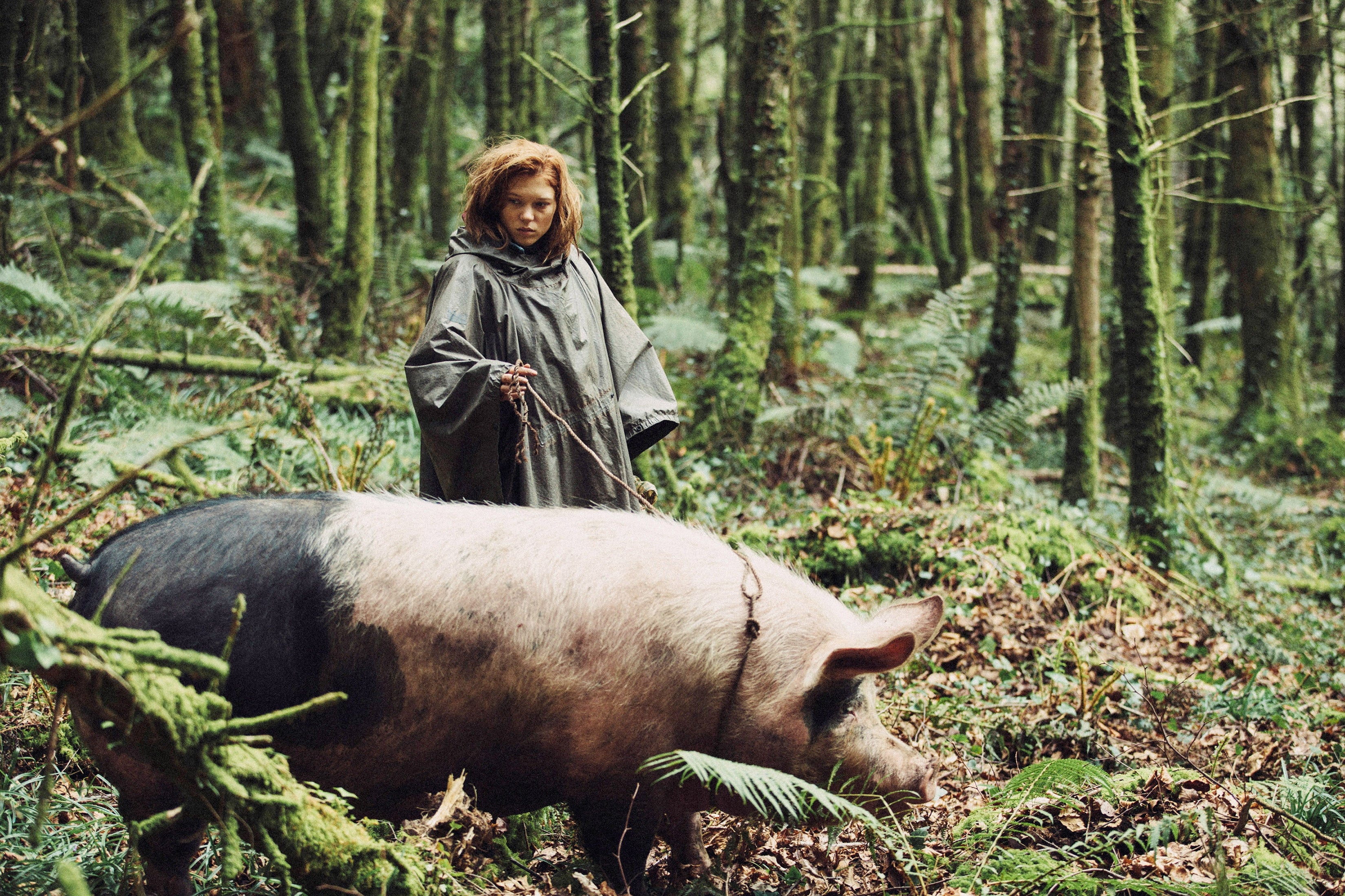 Person successful a wood leads a ample pig. The idiosyncratic is wearing a cloak and appears focused. The country is dense with trees and foliage