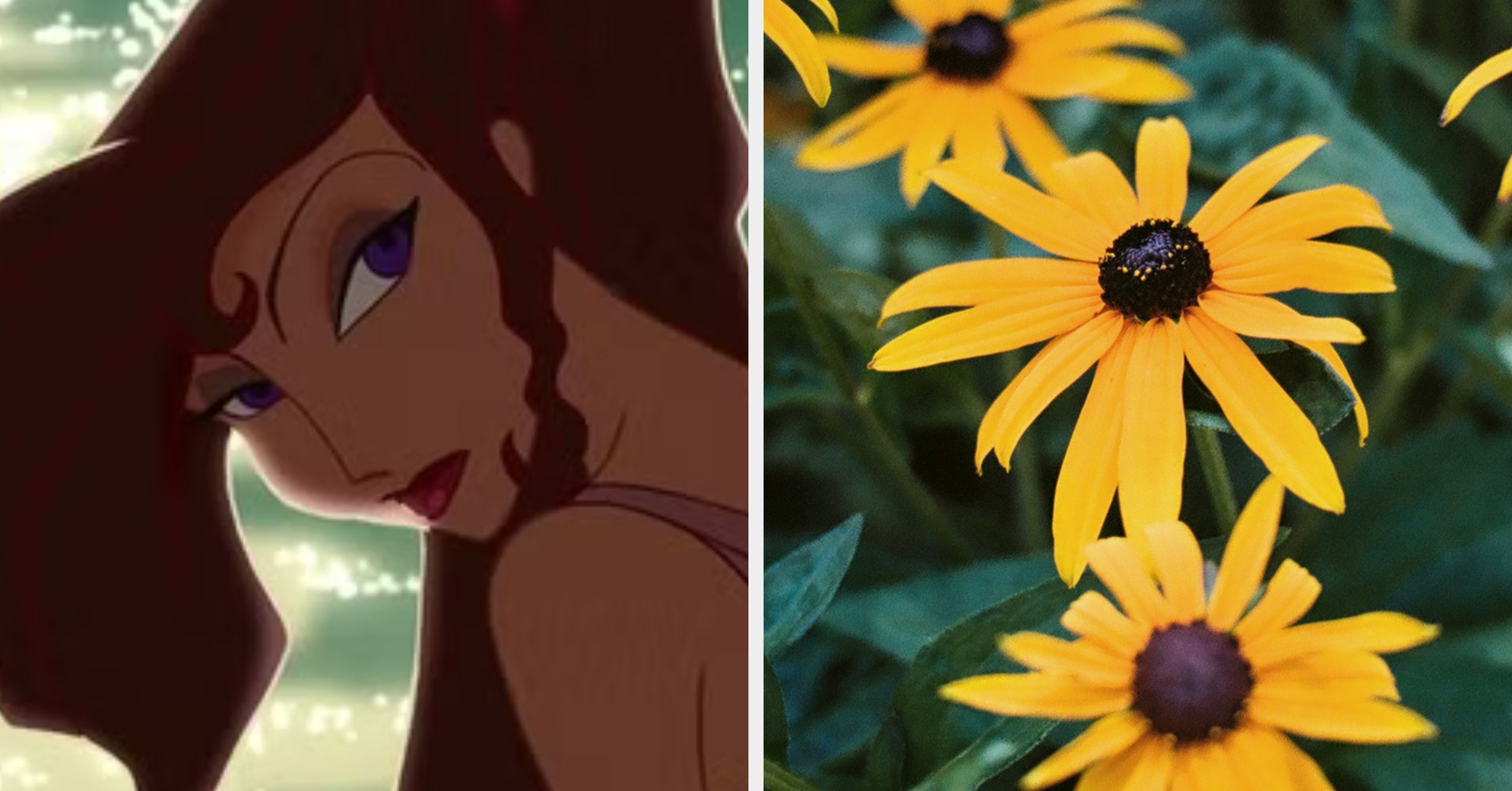 Pick Your Favorite Disney Movies And We'll Guess Your Favorite Flower