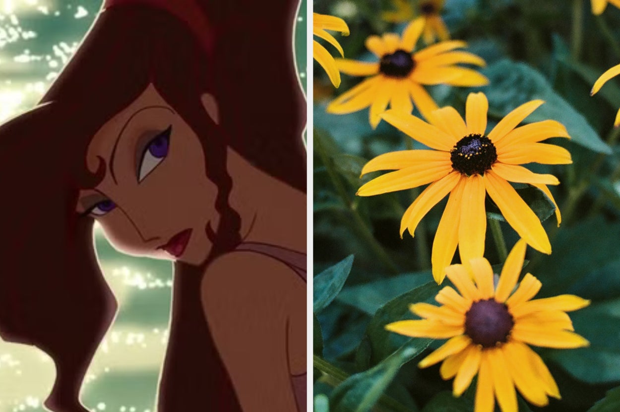 Pick Your Favorite Disney Movies And We'll Guess Your Favorite Flower