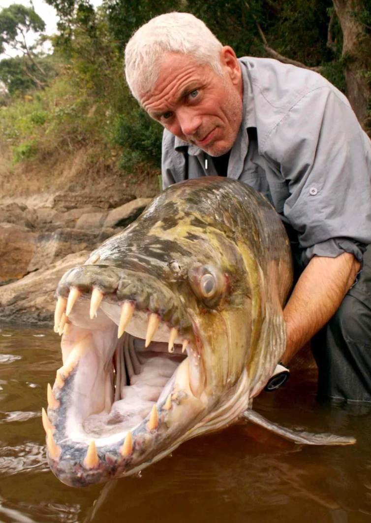 Person holding a large, open-mouthed food with crisp teeth adjacent a riverbank. The idiosyncratic is wearing outdoor covering and has a focused expression