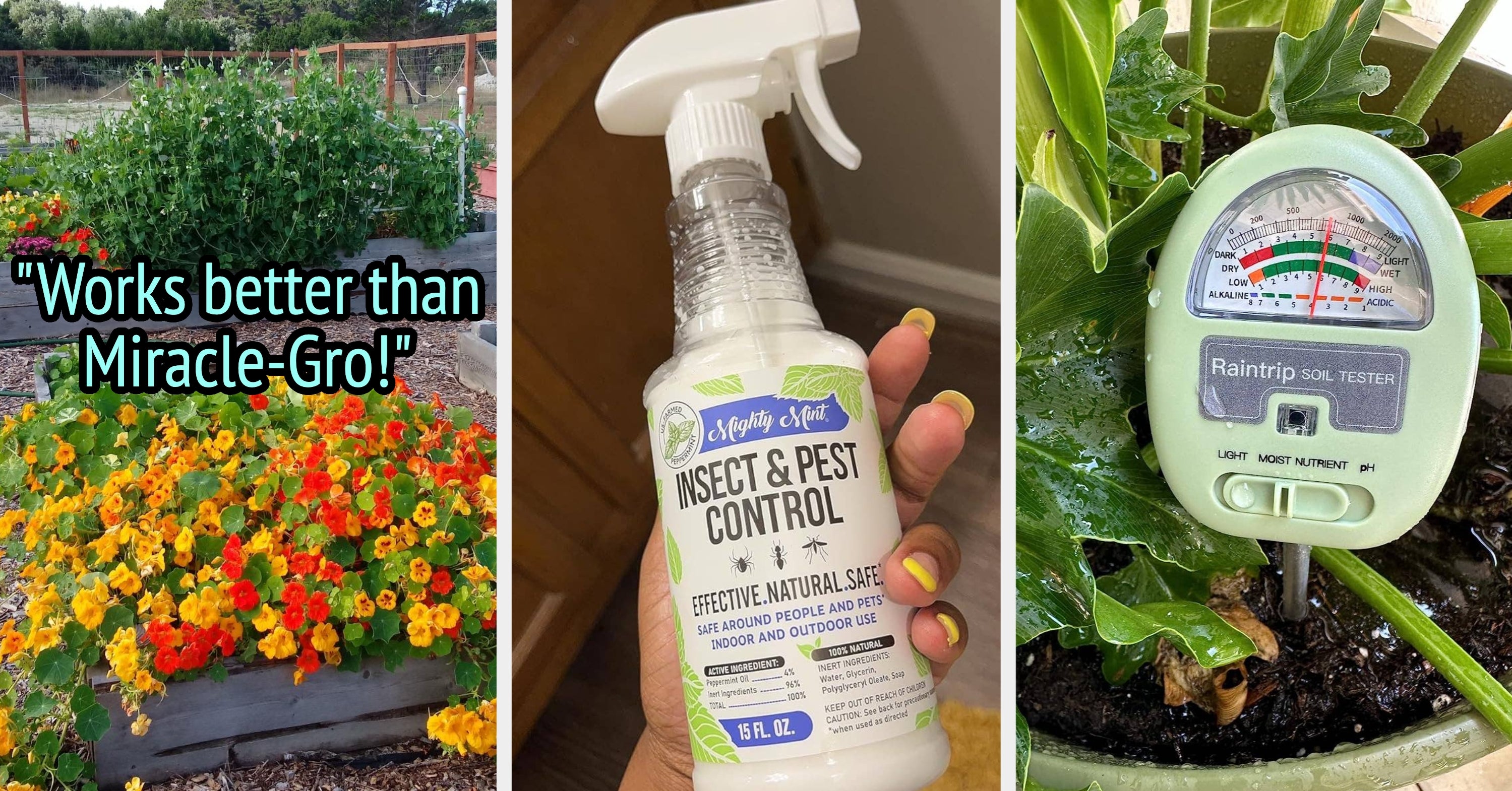 If You’ve Been Toying With The Idea Of Starting A Garden, These 27 Things Will Help