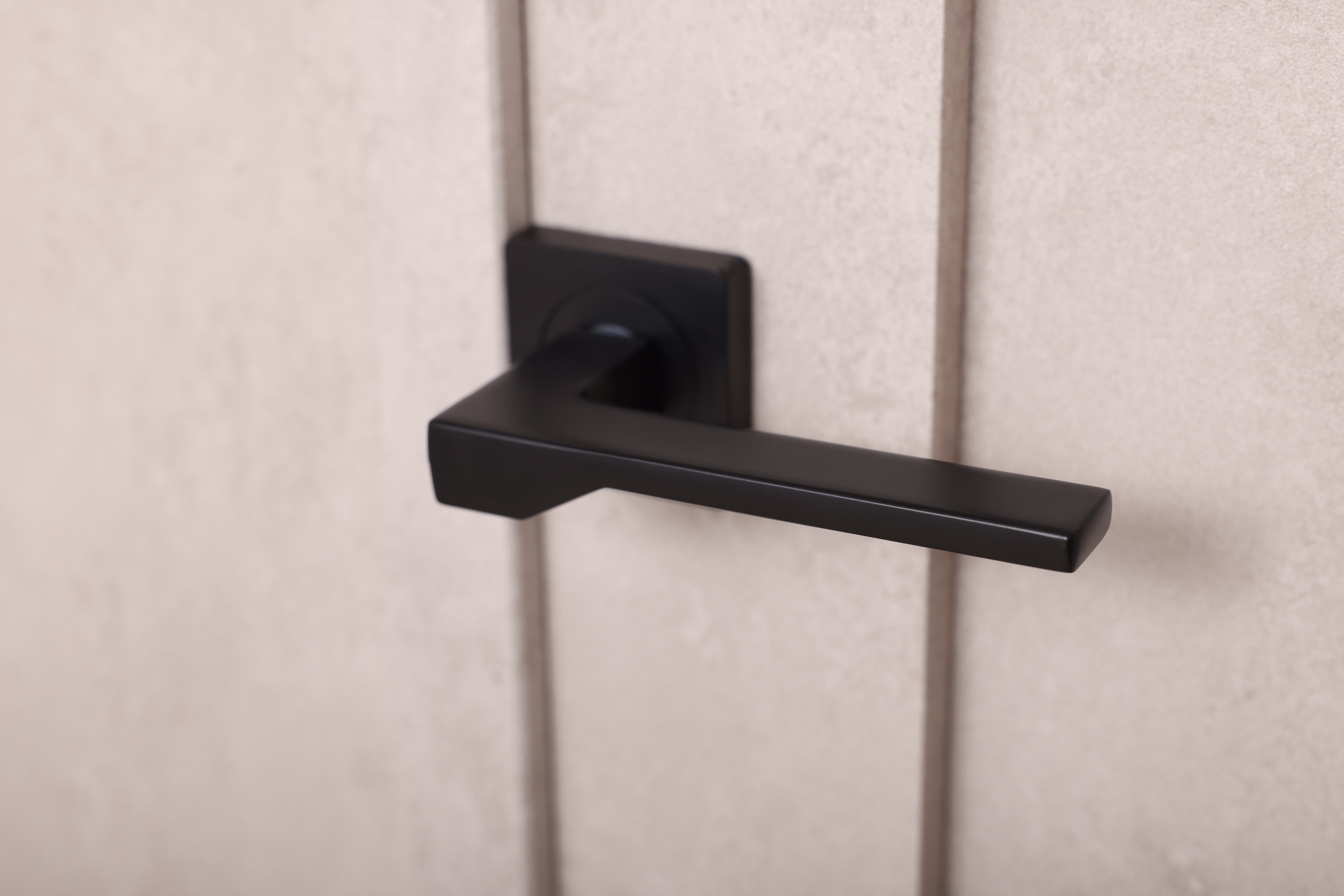 Modern black door handle on a simple paneled door