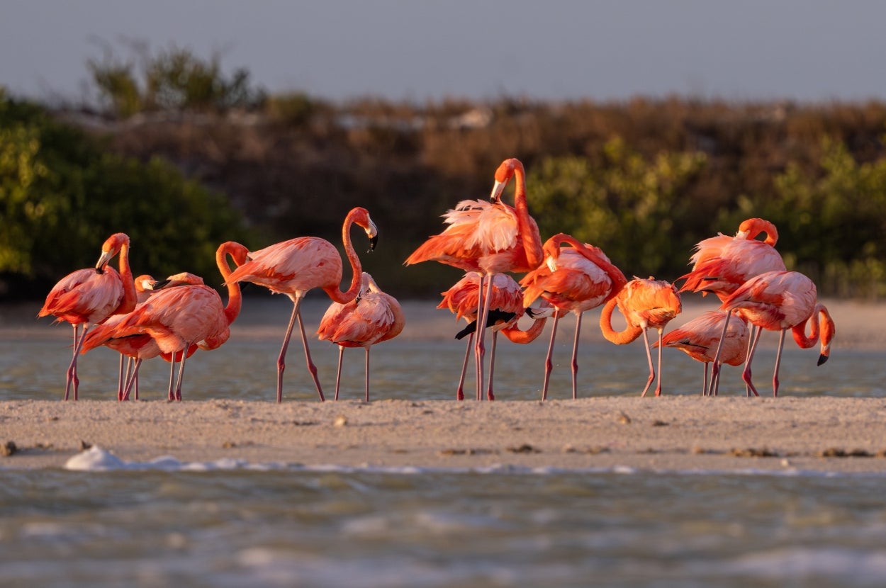 Six Science-Backed Tests To Show How Well You're Ageing