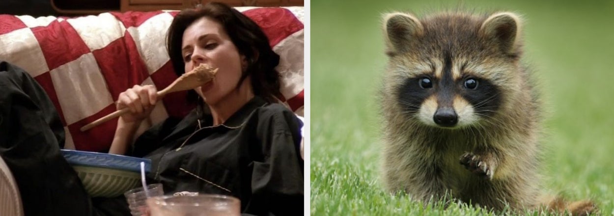 Plan Your Perfect Cozy Night And I'll Pick Which Nocturnal Animal Matches Your Personality