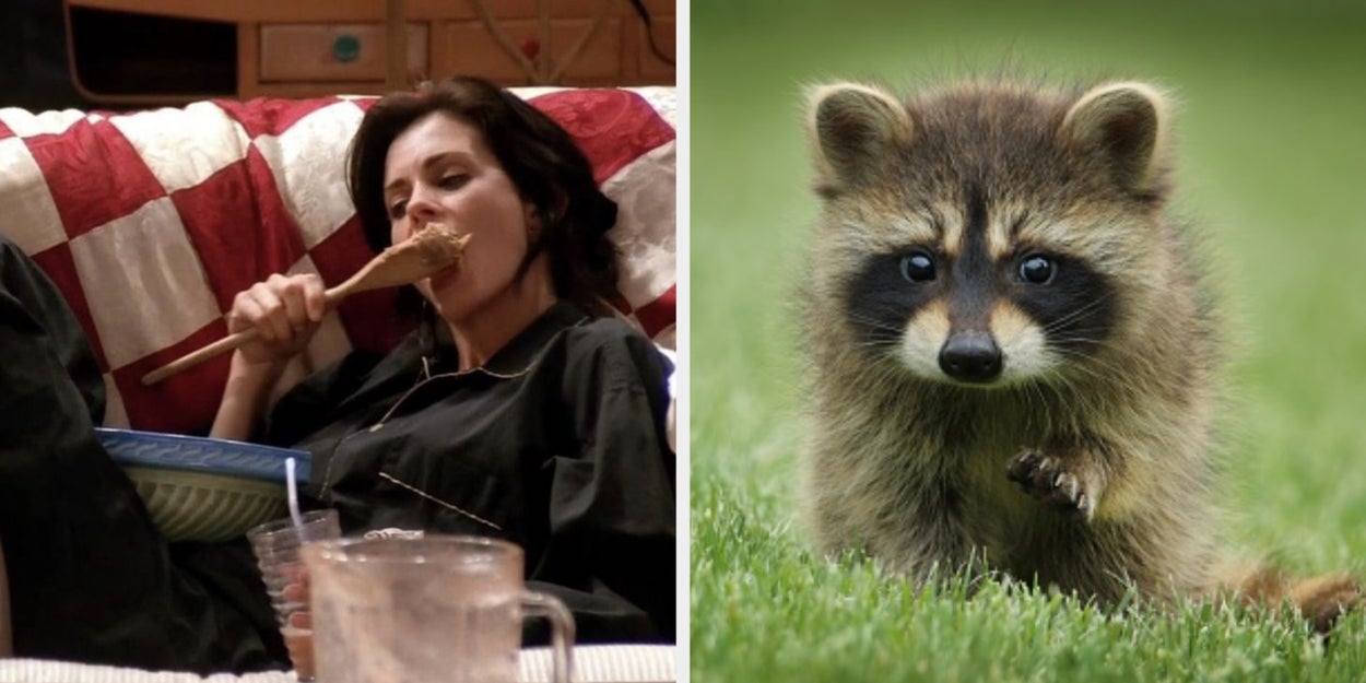 Everyone Embodies A Nocturnal Animal — Plan A Cozy Night To Reveal Which One You Are