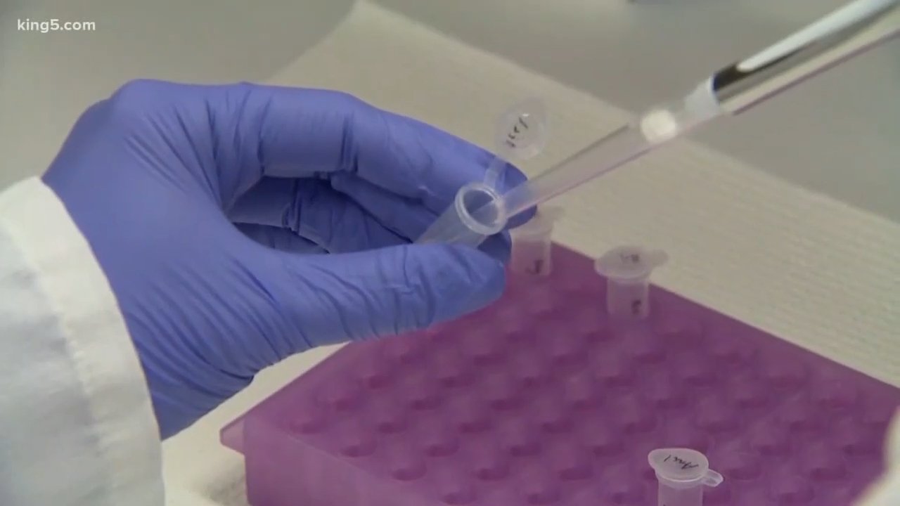 A gloved manus uses a pipette to transportation liquid into a trial tube, acceptable implicit a purple rack successful a laboratory setting
