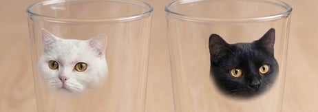 液体が猫になるグラス／いしかわかずやさん（@issikazu20）のXアカウントより