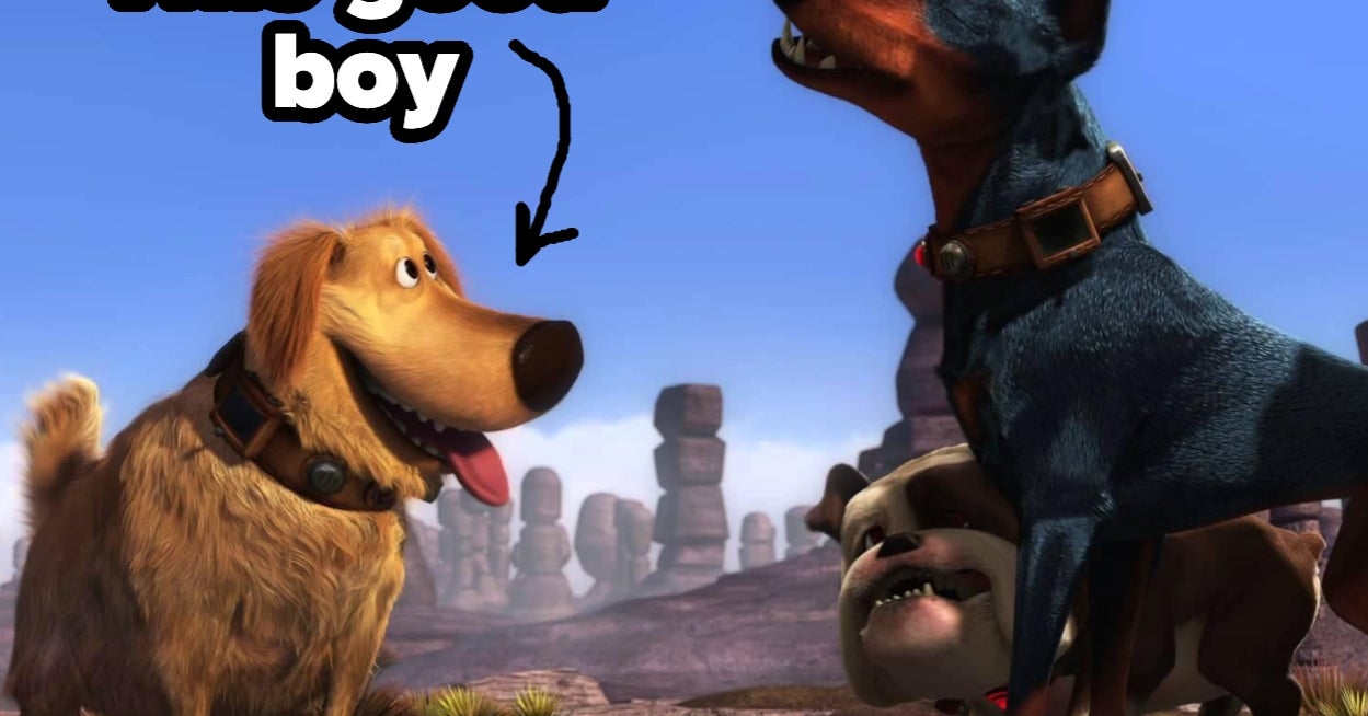 Plan Your Perfect Saturday And I'll Give You A Dog To Adopt!