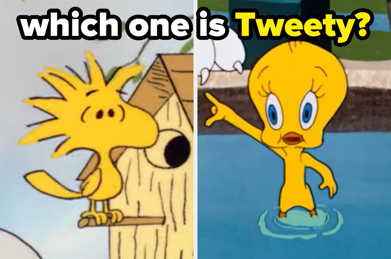 I'm Not Saying You Hate Cartoons, But If You Can't Even Identify 13 Of These Famous Bird Characters, Well...