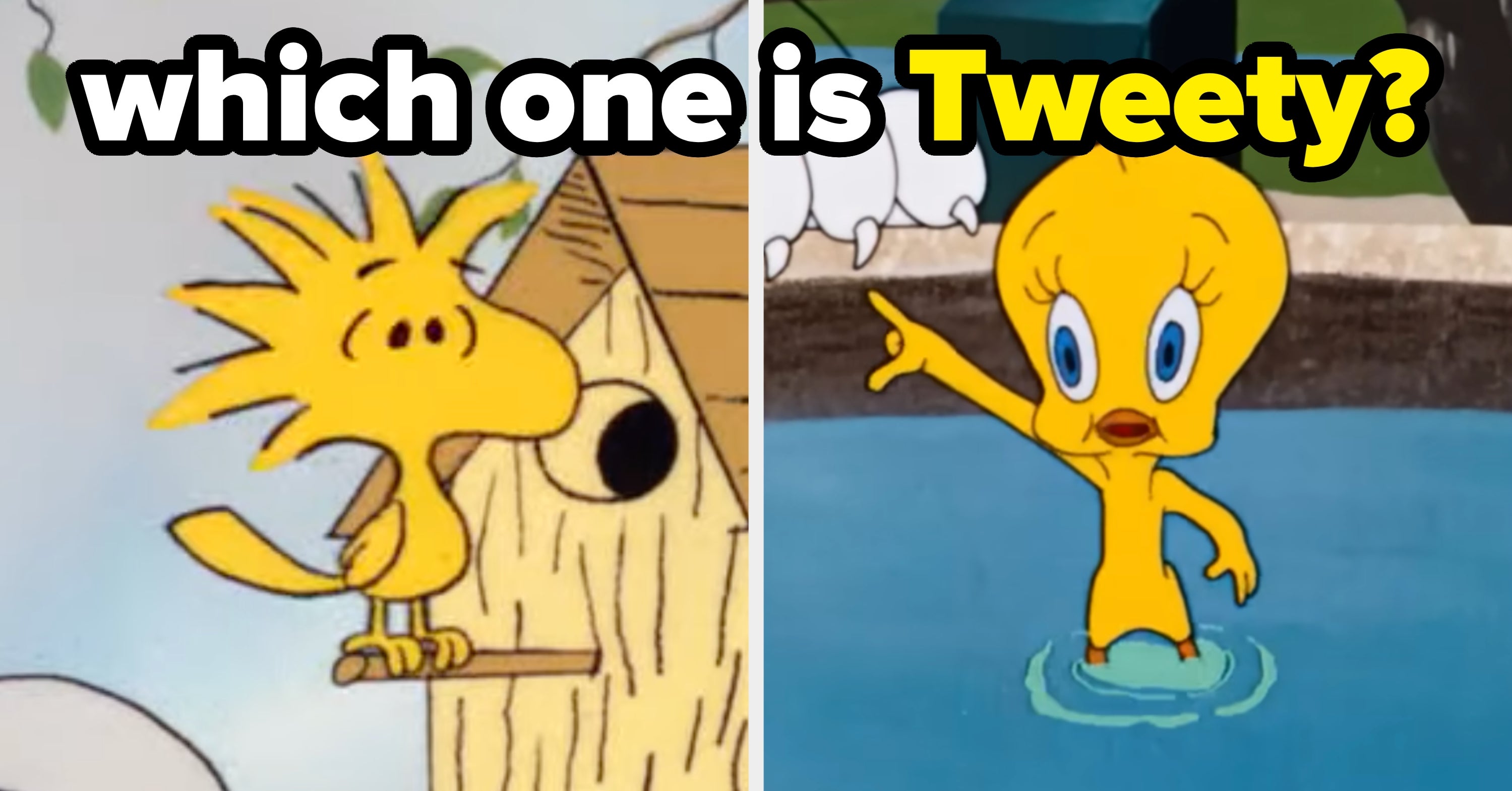This 20-Question Iconic Bird Characters Quiz Is So Difficult, You Won't Be Able To Pass Unless You're The Biggest Cartoon Fan