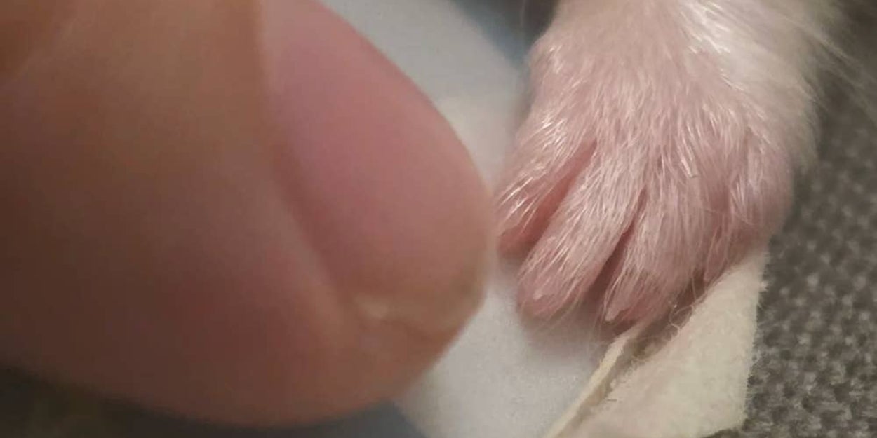 Survival Tips: What's Keeping Women Going Today