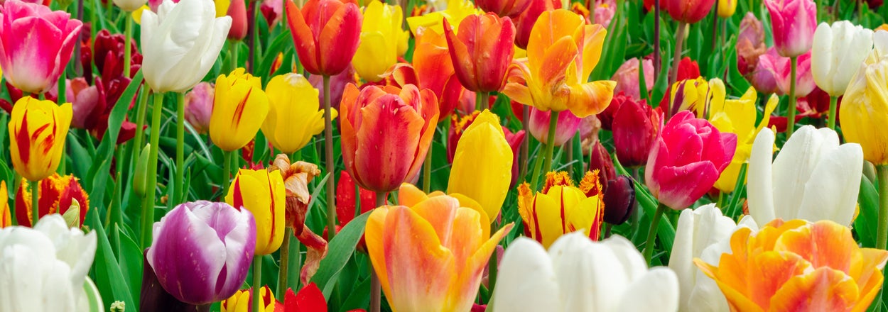 Pick An Activity For All 30 Days In April And I'll Reveal Your Luckiest Week