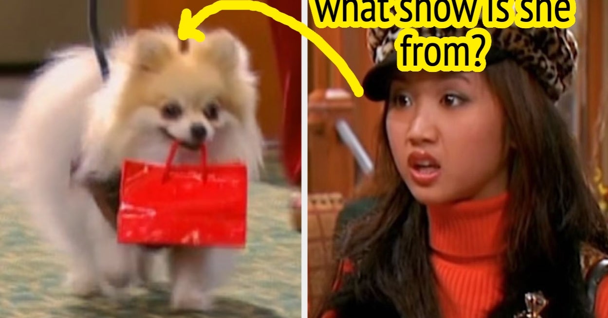 I'm Sorry, But I HIGHLY Doubt You Can Identify All Of These Disney Channel Pets Just By Just A Description