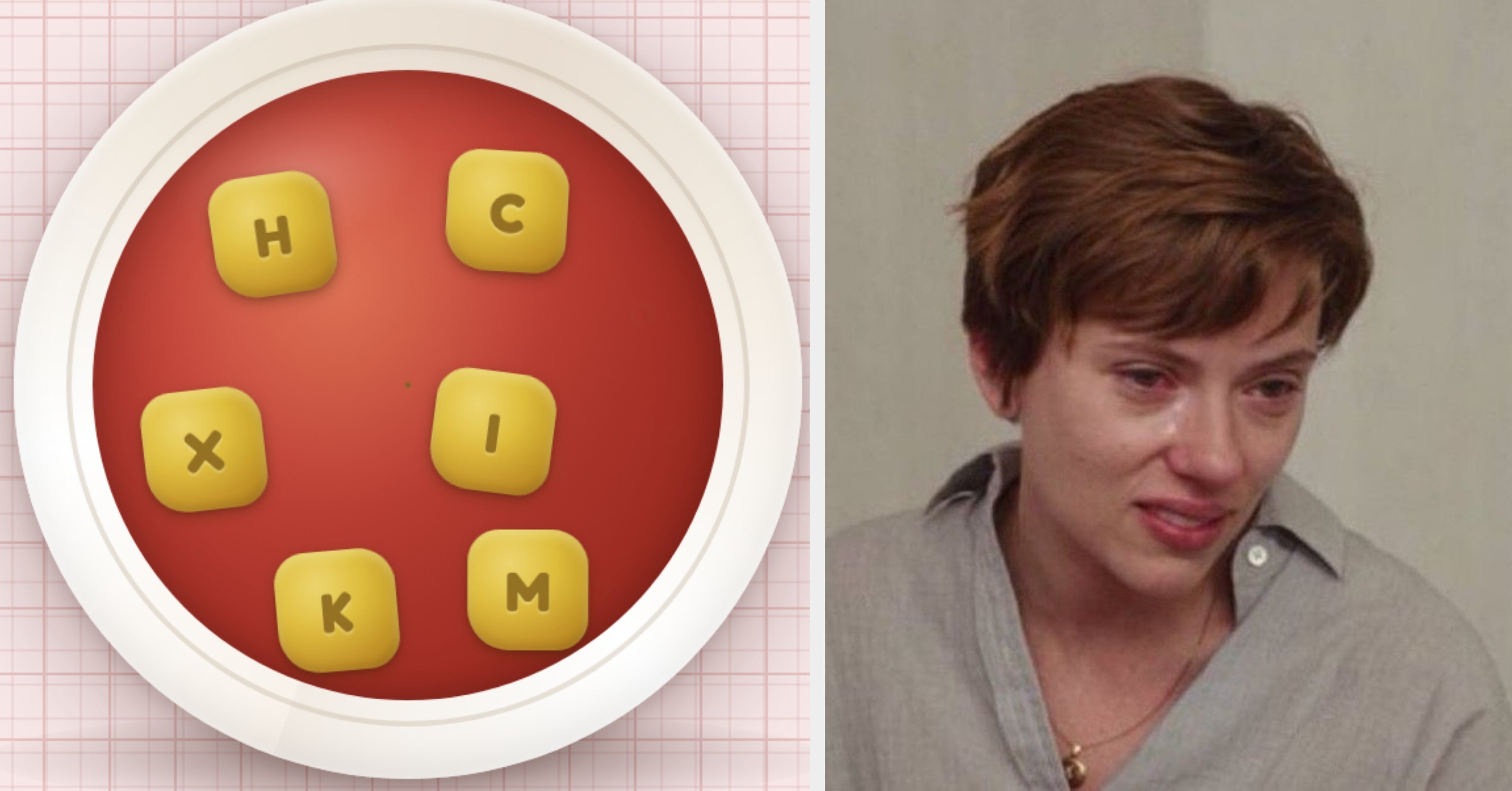 Sorry, But This Soup Of The Day Unscramble Might Be Too Advanced For Your Brain...