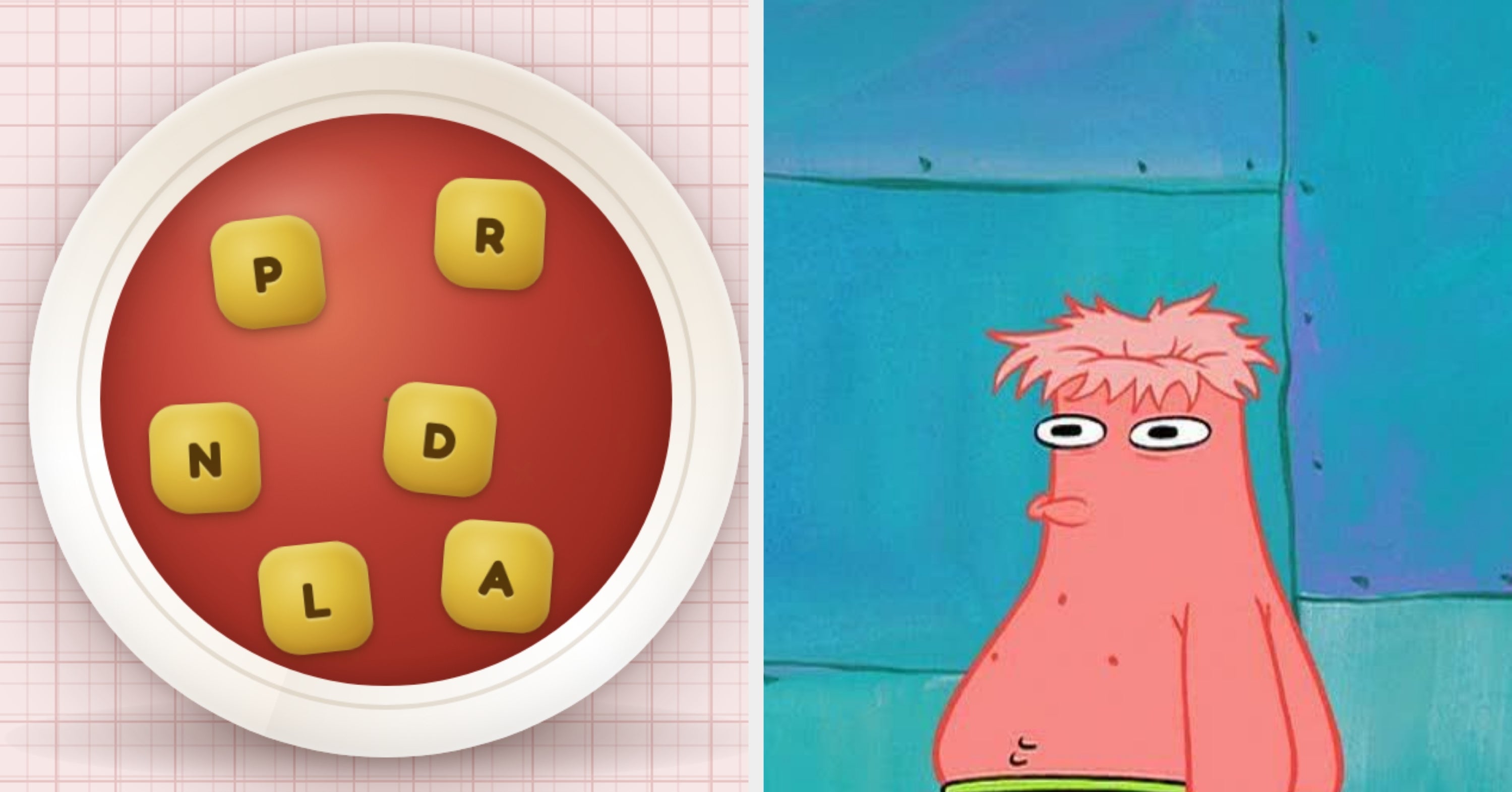 I'm Sorry, But I HIGHLY Doubt You'll Find More Than 6 Words In This Bowl Of Letter Soup