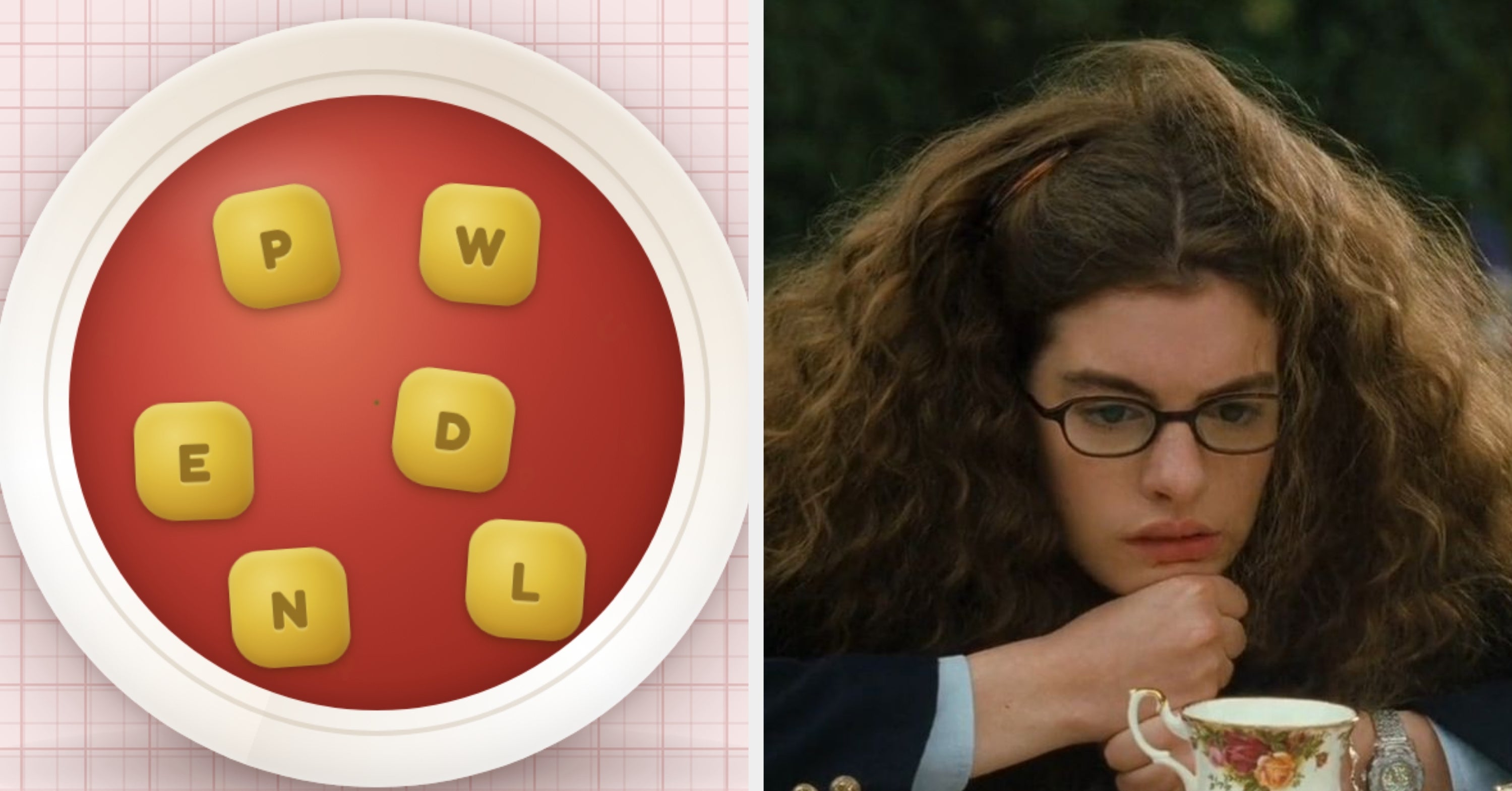 The Soup Of The Day Is 