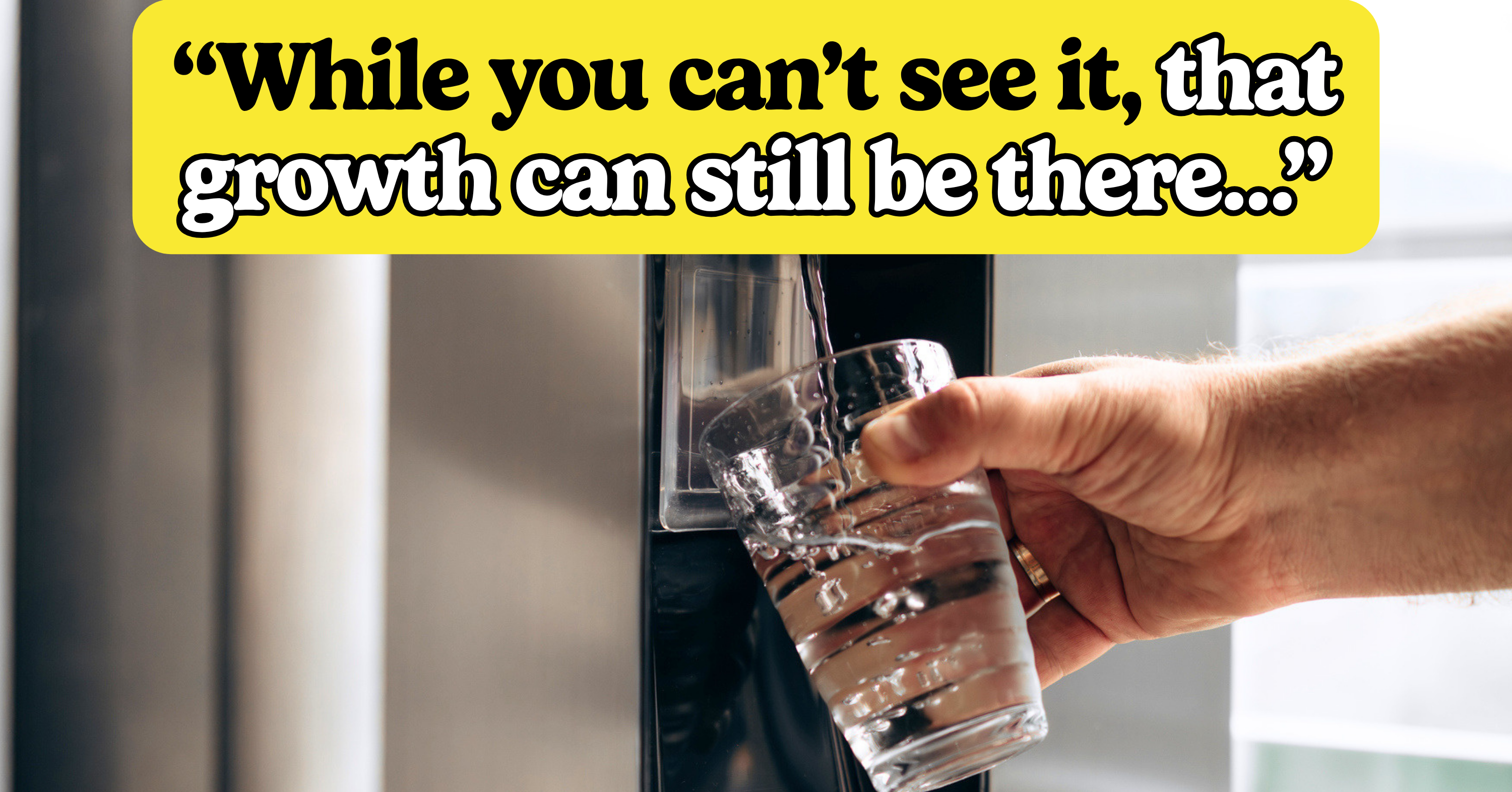 7 Surprising Places In Your Kitchen That Are Secretly Harboring Mold (And What To Do About It)