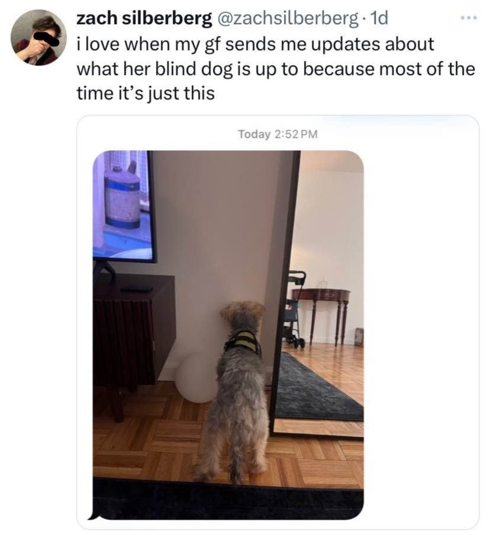 Post image 10