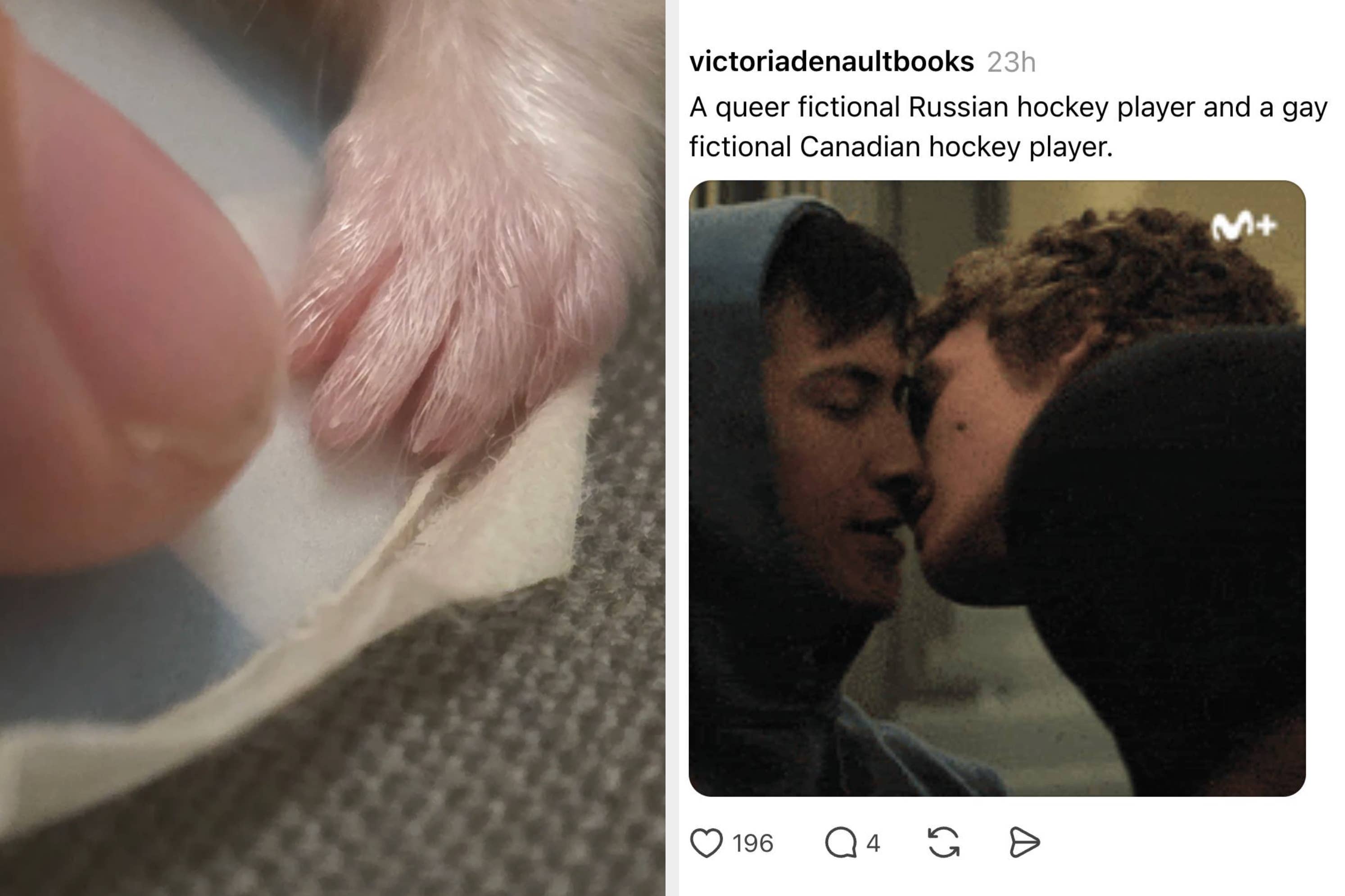 Split image: Left shows a tender moment between two characters, described as a queer Russian and Canadian hockey player. Right shows a fluffy cat sitting