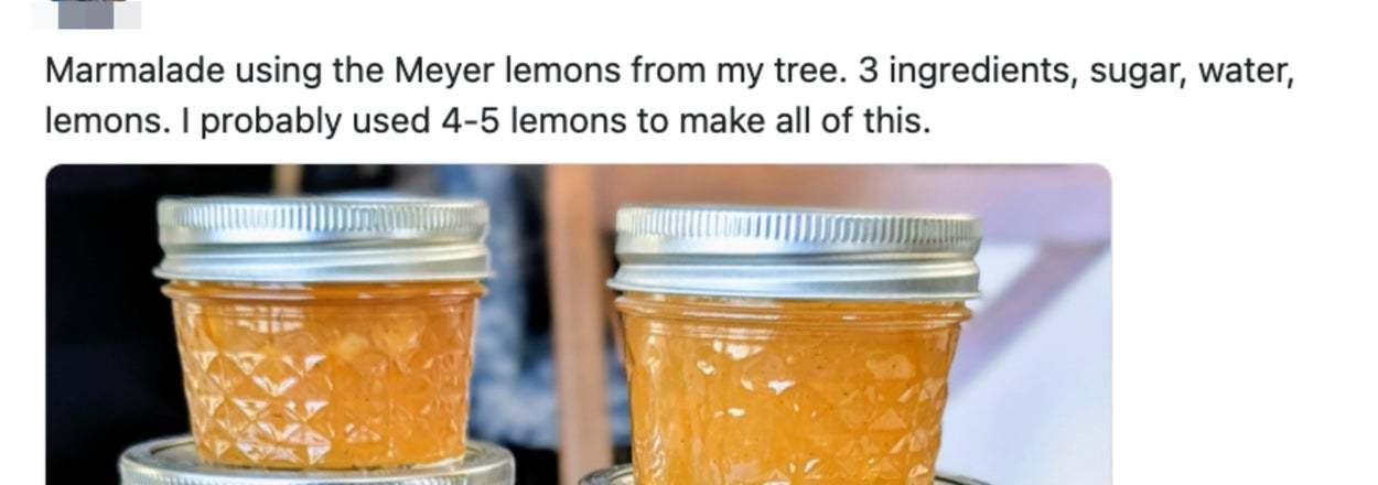 “Pricey To Buy, Inexpensive To Make”: People Are Saving Tons Of Money By Making These 25 Everyday Products At Home, And I'm Sooo Inspired