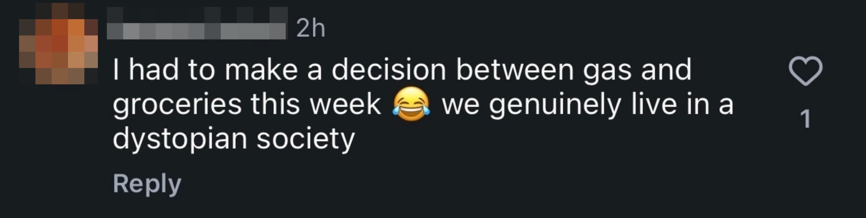 Comment discusses choosing betwixt state and groceries, suggesting we unrecorded successful a dystopian society