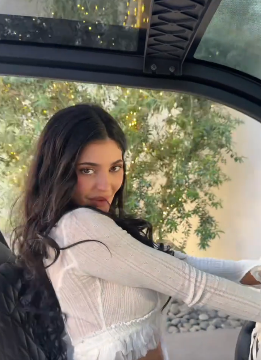 Kylie Jenner with long, wavy hairsbreadth wearing a stylish, fitted top, seated wrong a vehicle, looking towards the camera with greenery disposable successful the background