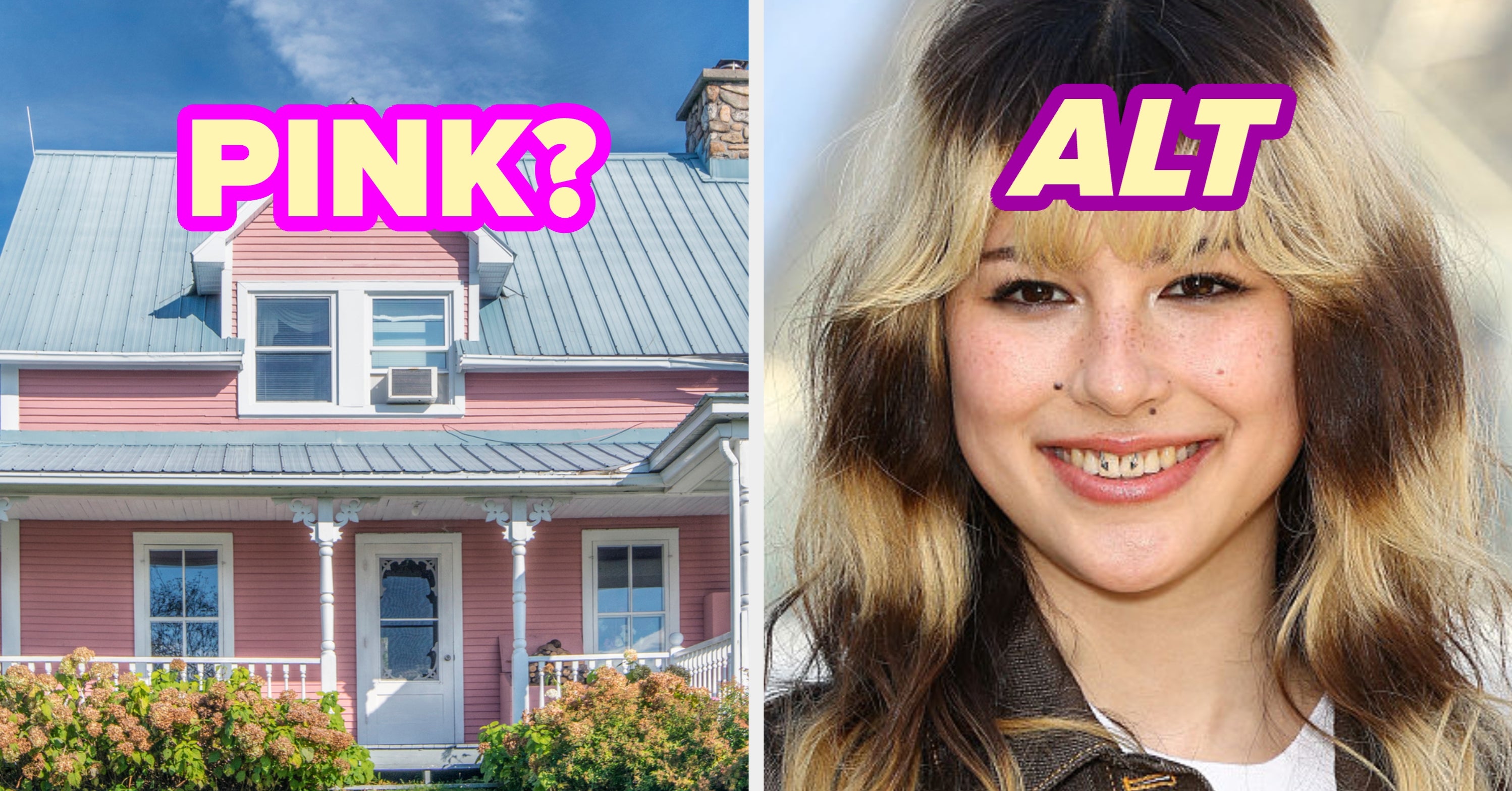 Build A Cottage And We'll Guess Your Niche Aesthetic