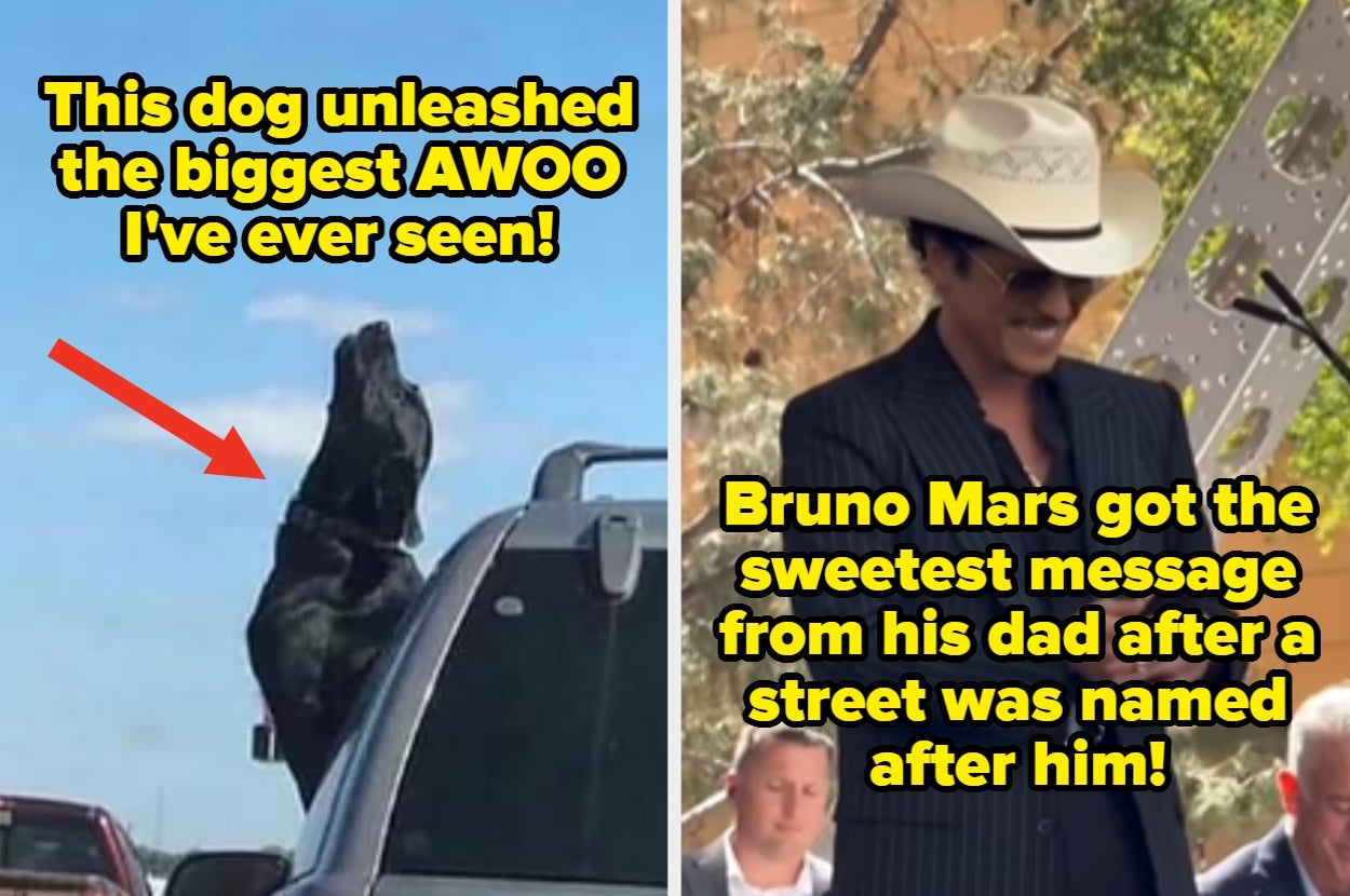 24 Wholesome Internet Finds That Feel Like A Break From The Absolute Mess Of Everything