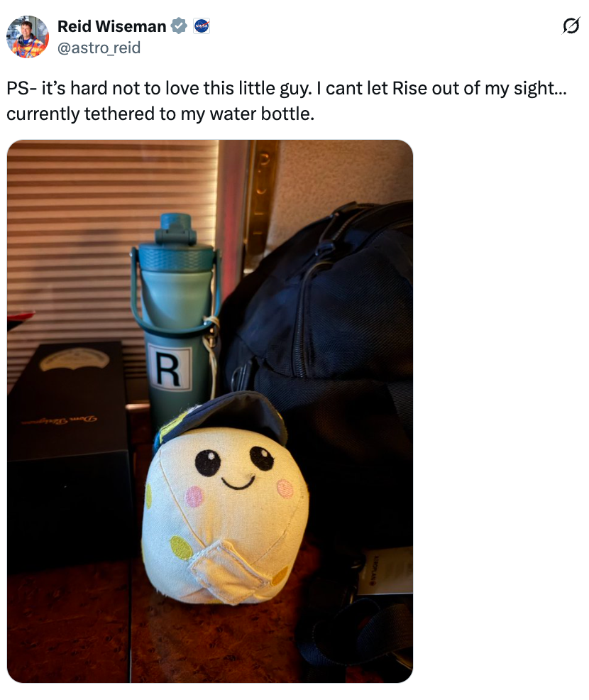 Plush artifact with a cute look and headdress sitting adjacent to a backpack and h2o vessel labeled "R" connected a table. Reminder of fond attachment