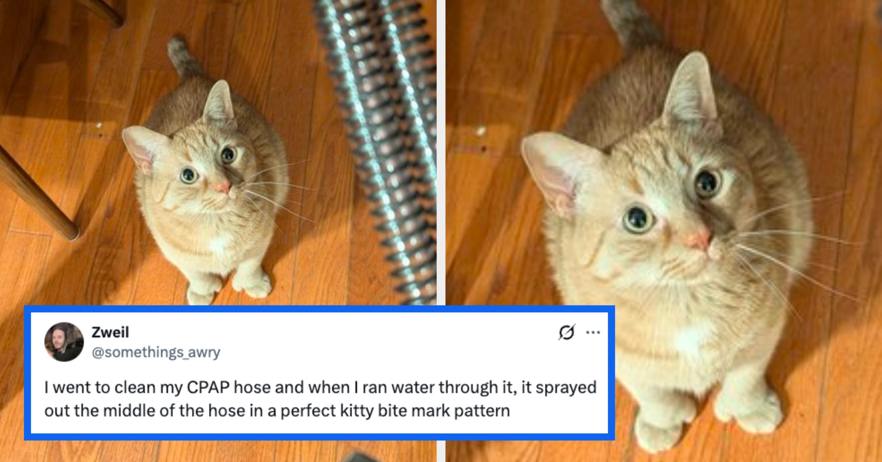 "OH MY F—KING GOD": 37 Hilarious Fails That Will Make You Laugh So Hard You Can Actually Forget About The State Of The World For 5 Minutes