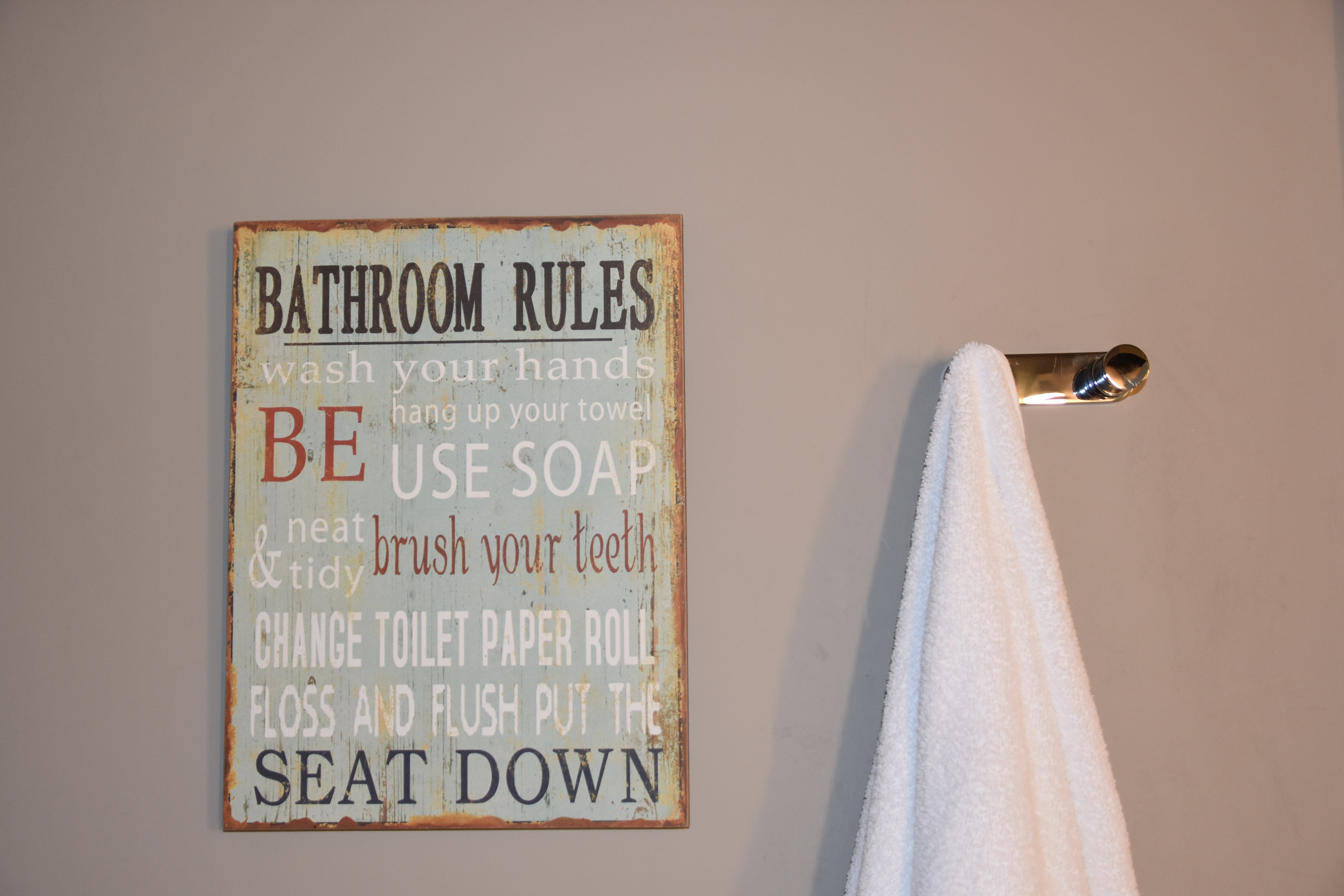  lavation  hands, bent  towel, usage  soap, brushwood  teeth, alteration  toilet roll, flush, enactment     spot   down. Towel connected  a holder