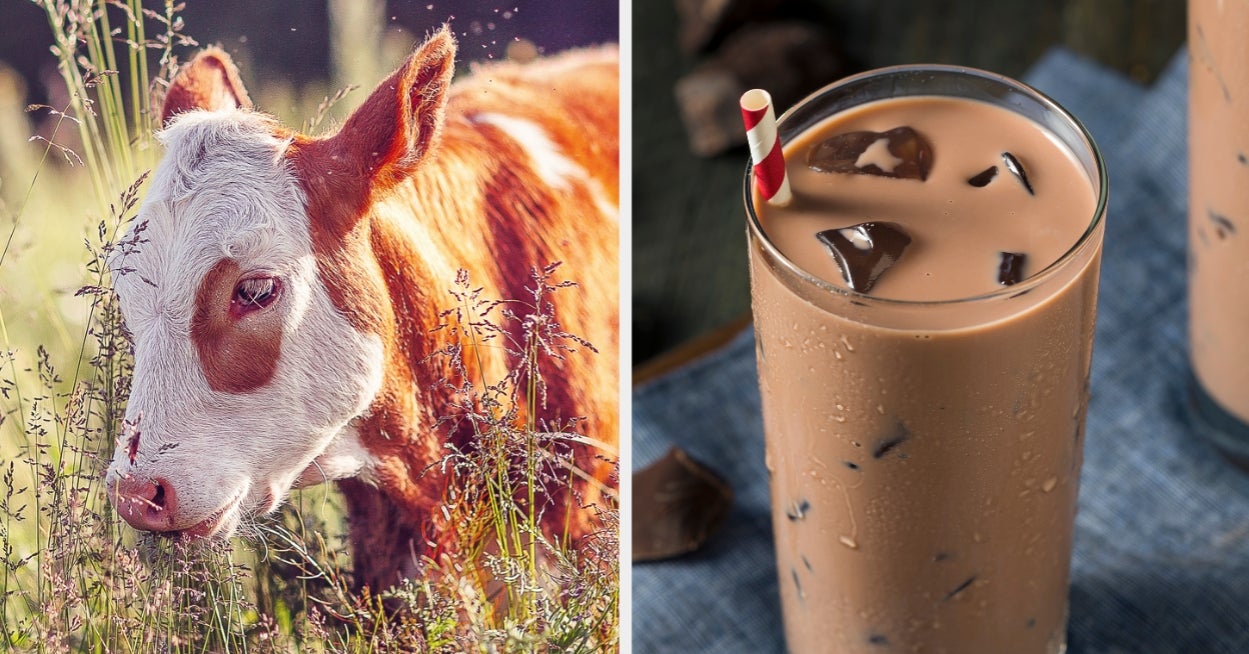 Everyone Has A Meal Of The Day That Makes Them Happiest — I Can Totally Guess Yours Based On The Dream Farm You Build