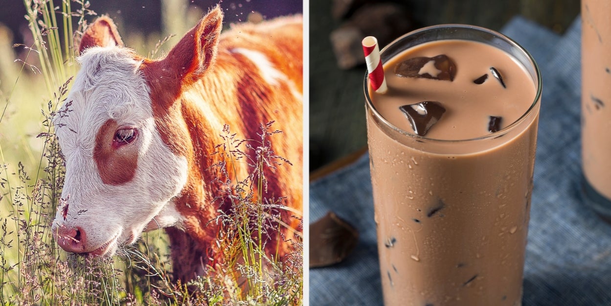 Build A Farm From Scratch And I'll Guess Your Favorite Meal Of The Day