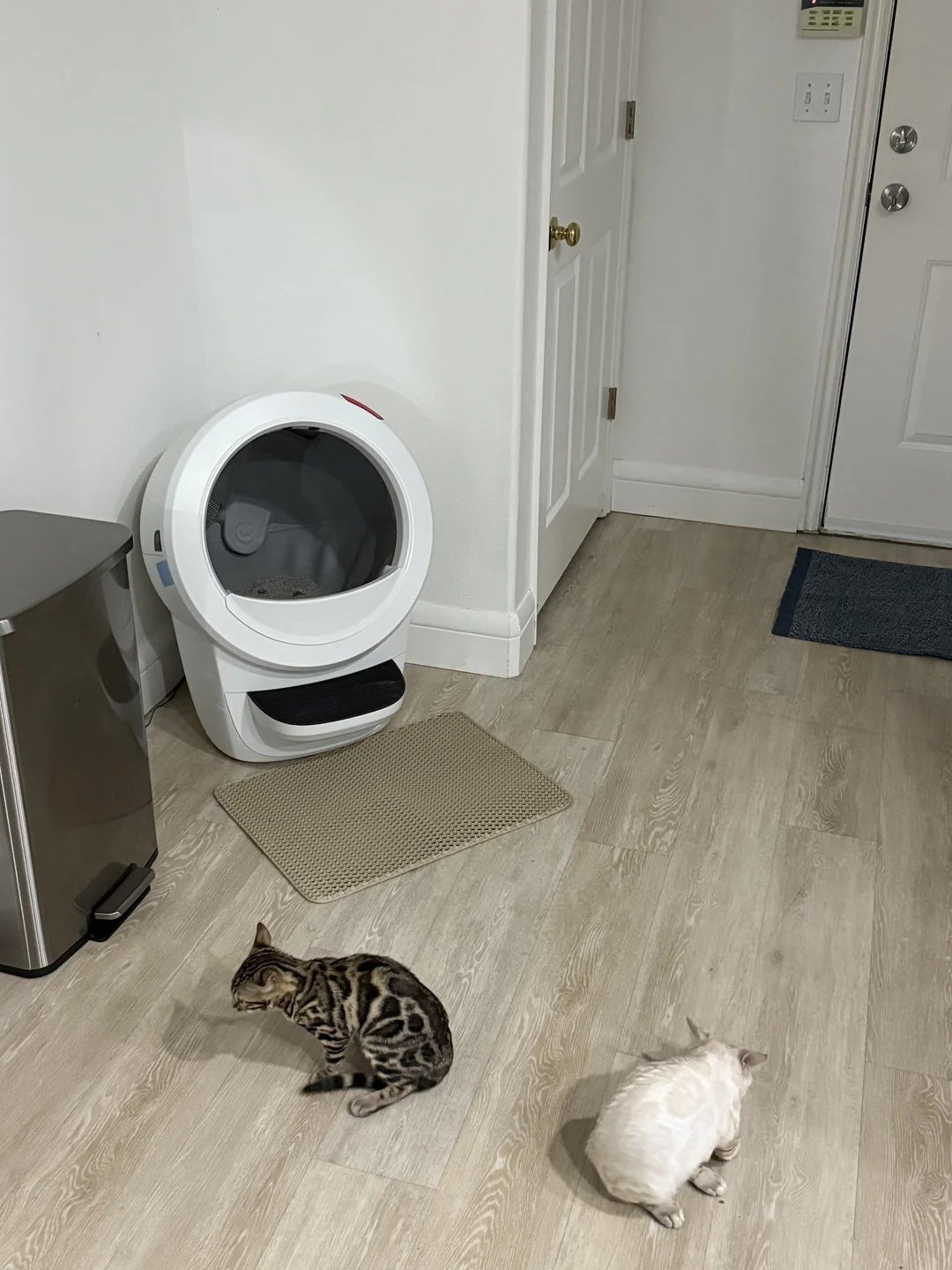 Post image 40