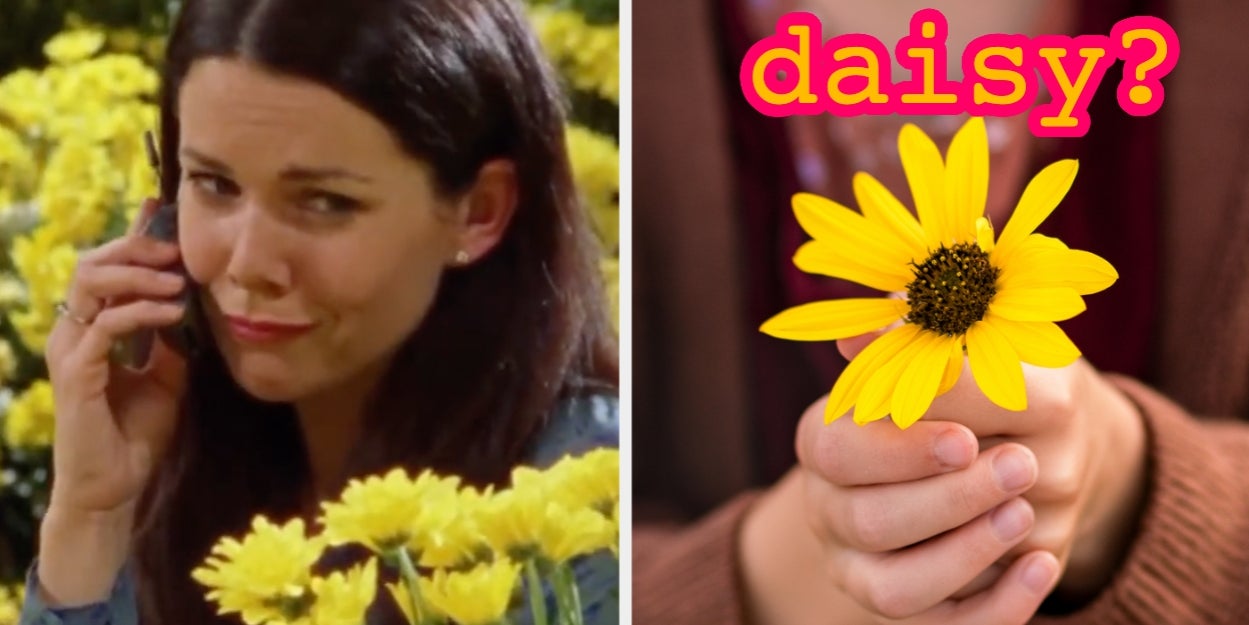 Walk Through A Botanical Garden And I'll Reveal What Type Of Flower You Are Inside