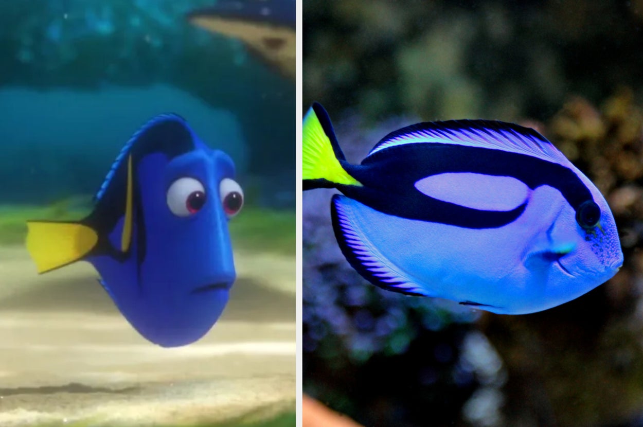 Sorry, But Only Disney Adults Can Pass This Disney General Knowledge Test