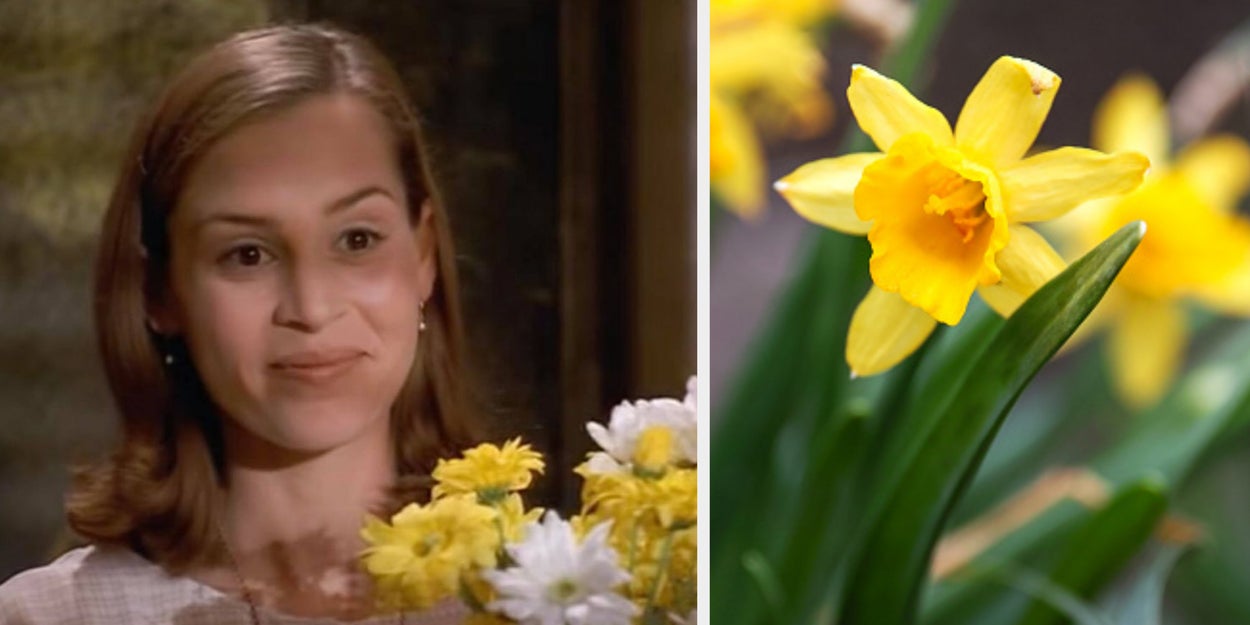 Everyone Has A Spring Flower That Matches Them 100% — Here's Your Inner Bloom