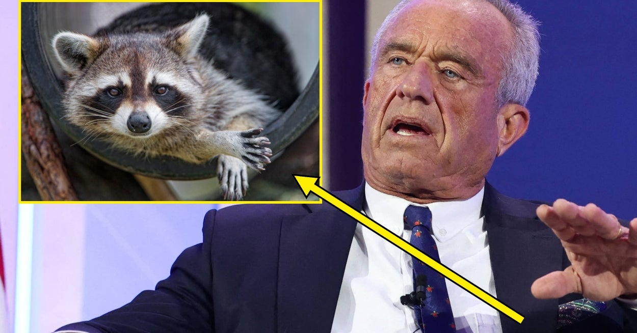 Everyone Is Losing Their Mind After Hearing RFK Jr. Allegedly Cut Off A Dead Raccoon's Penis