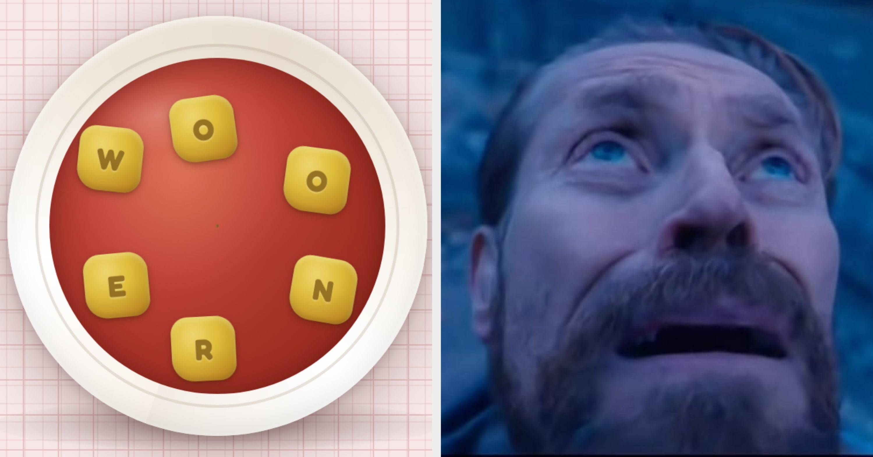 The Soup Of The Day Is "OONREW" — How Many Words Can You Spell Out?