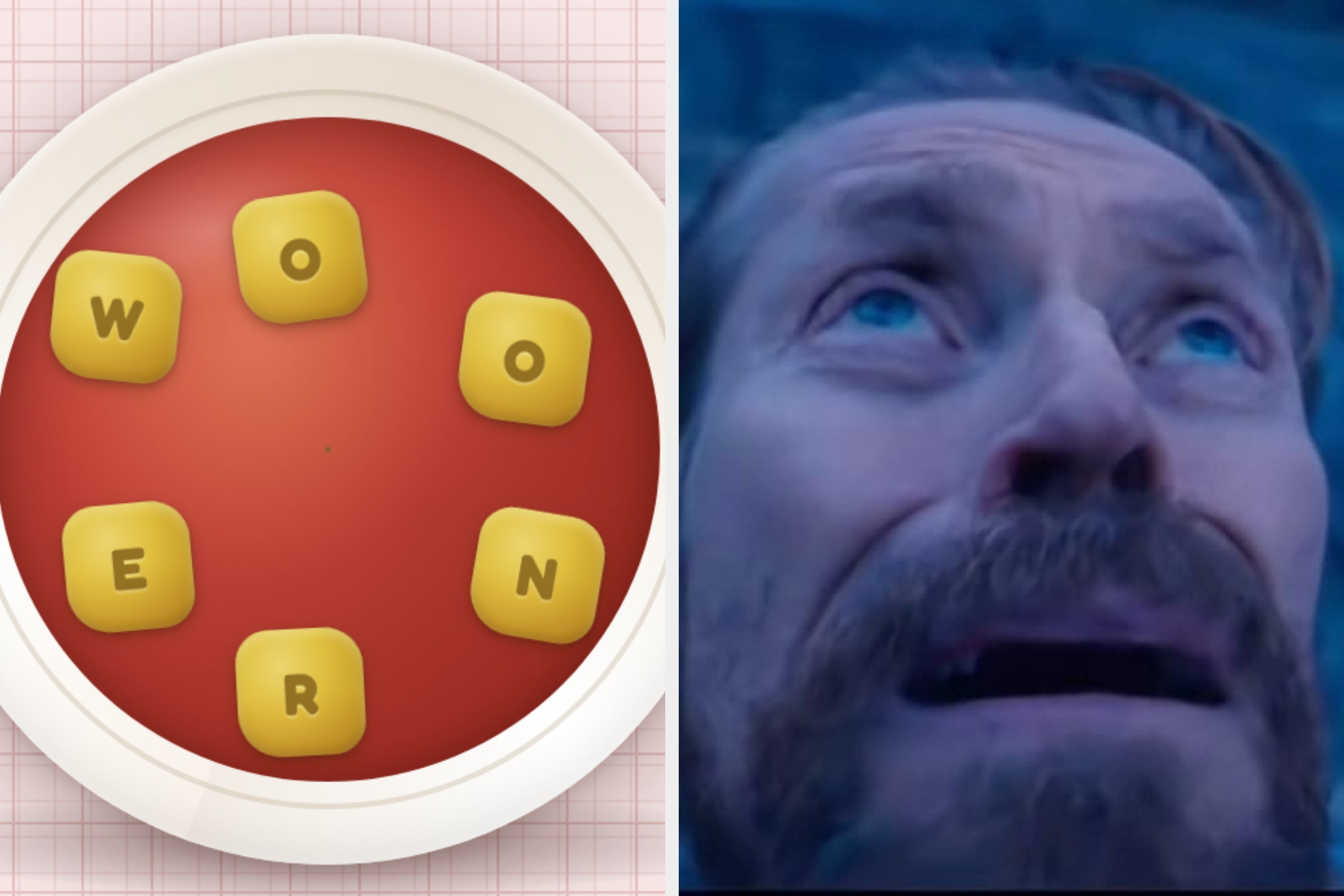 The Soup Of The Day Is “OONREW” — How Many Words Can You Spell Out?