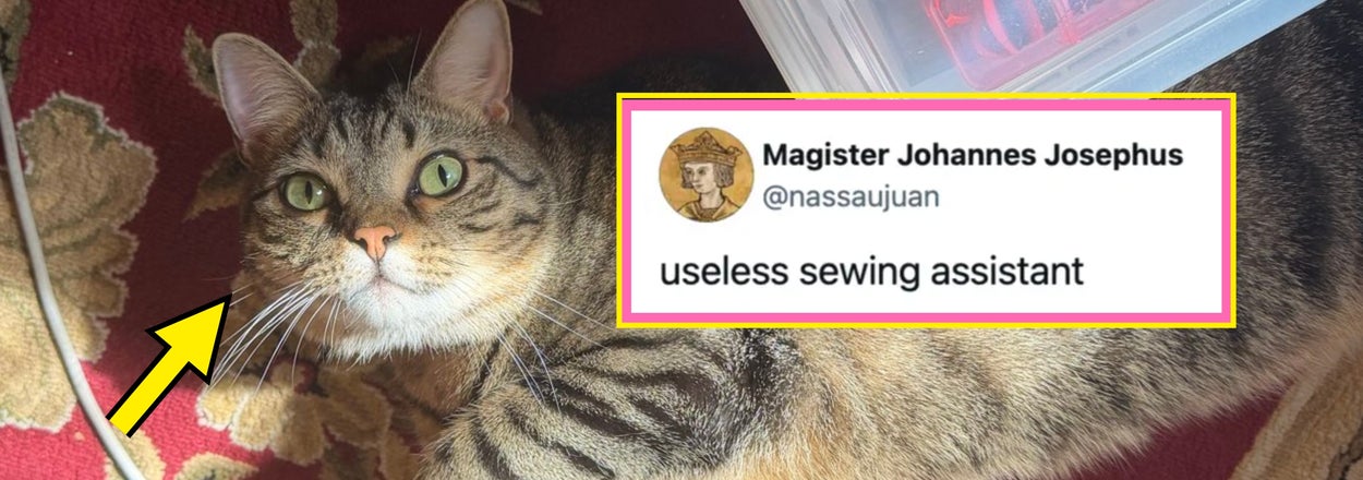17 Of The Funniest, Cutest, And Most Wholesome Posts From The Internet This Week That I Curated Just For You, Because I Love You