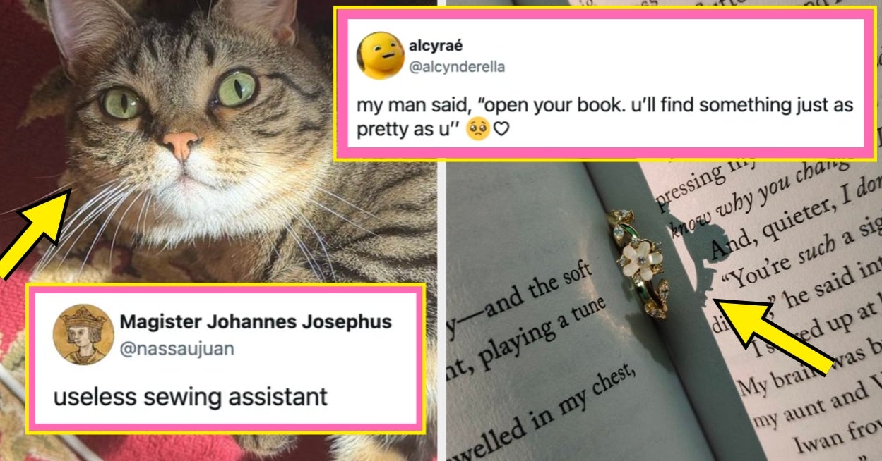 17 Of The Funniest, Cutest, And Most Wholesome Posts From The Internet This Week That I Curated Just For You, Because I Love You