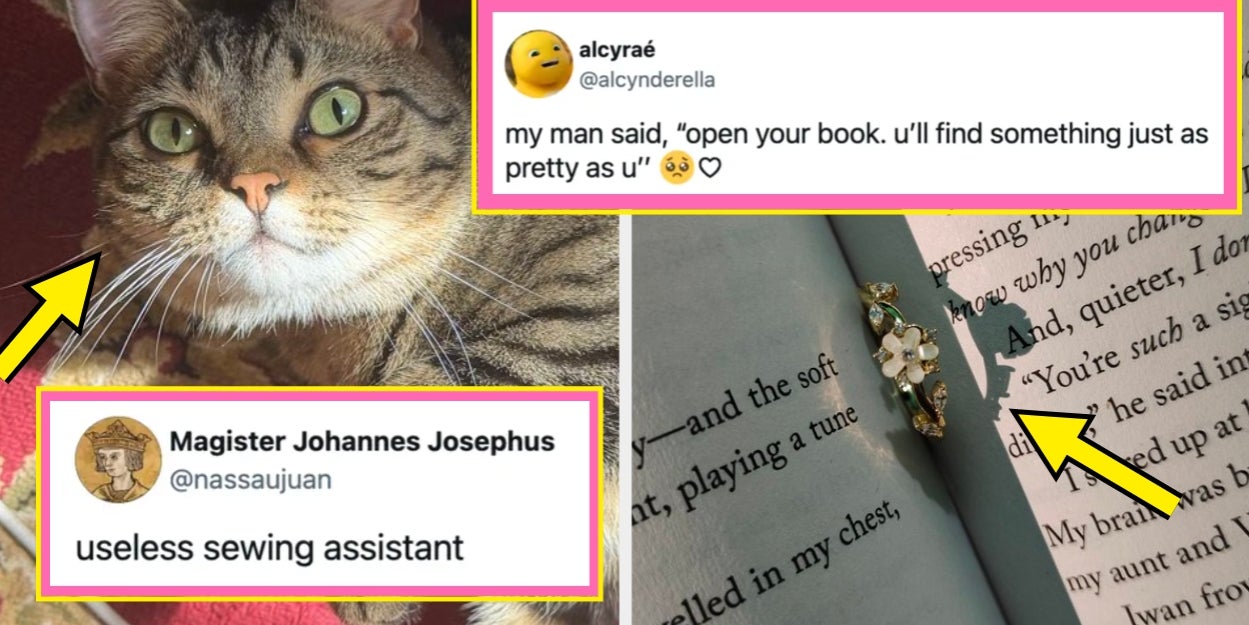 The 17 Best, Most Wholesome Internet Posts This Week